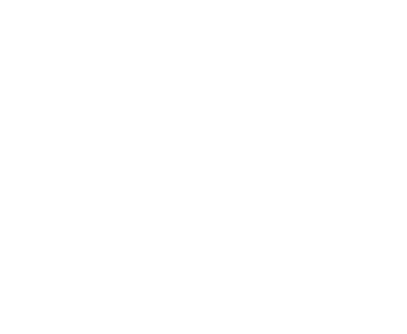 10 FIN