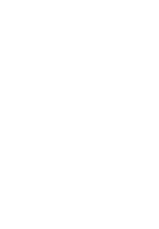 3 FIN